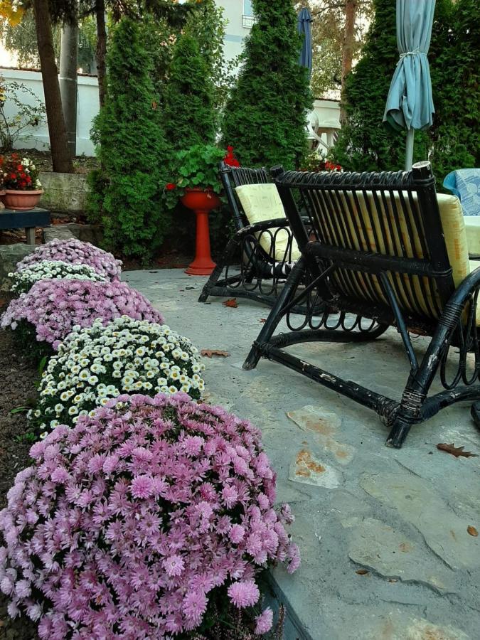 Apartment Queen Белград Екстериор снимка